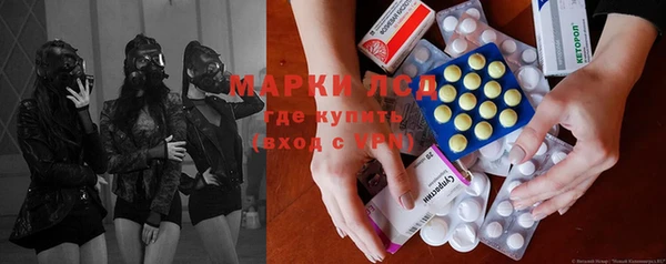 индика Абинск