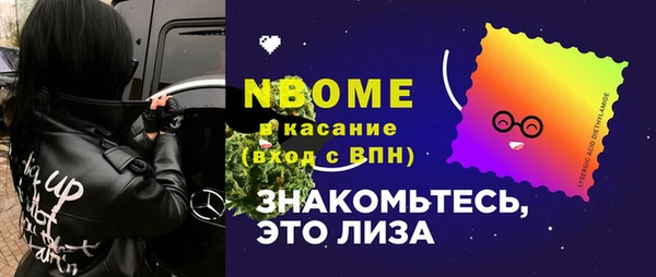 индика Абинск