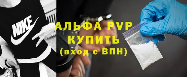 индика Абинск
