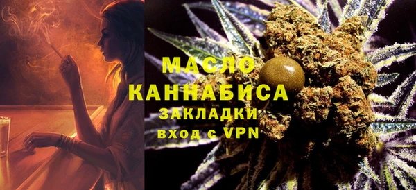 индика Абинск