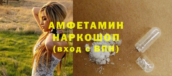 индика Абинск