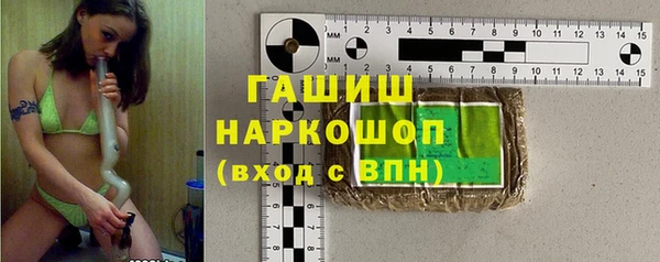 индика Абинск